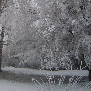 Emploithèque vous souhaite une bonne année 2008 Emploithèque vous souhaite une bonne année 2008