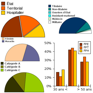 Statistiques de la fonction publique, dition 2013