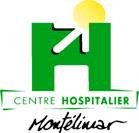Logo : CH de Montlimar
