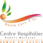 Logo : CH de Semur-en-Auxois
