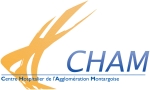 Logo : CH de l'Agglomration Montargoise