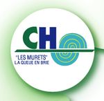 Logo : CHS les Murets