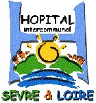 Logo : HI Svre et Loire