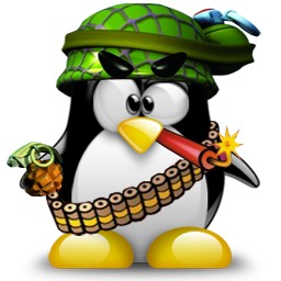Rémunération des militaires Rémunération des militaires