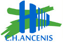 Logo : CH Erdre et Loire Site d'Ancenis