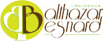 Logo : EHPAD de Ligueil