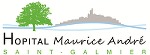 Logo : HL de Saint-Galmier